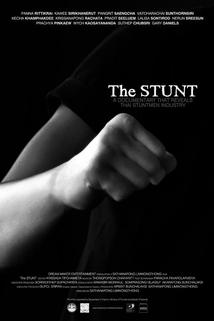 Profilový obrázek - The Stunt