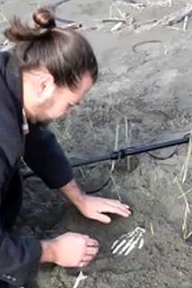 Profilový obrázek - Finding Copalis