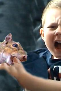 Profilový obrázek - Squirrel Attacks My Son