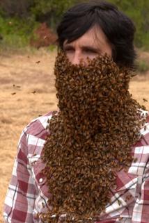 Profilový obrázek - 10,000 Bees Beard