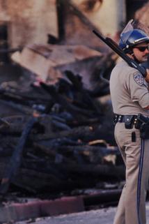 Profilový obrázek - The L.A. Riots: 25 Years Later
