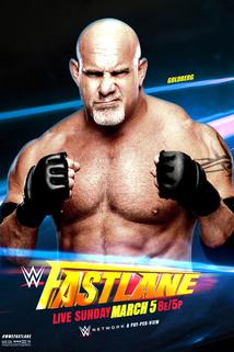 Profilový obrázek - WWE Fastlane