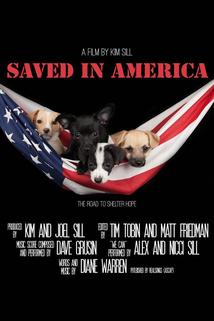 Saved in America