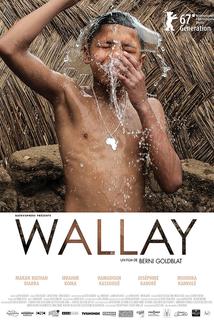 Profilový obrázek - Wallay