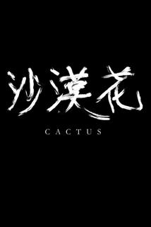 Profilový obrázek - Cactus