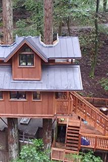 Profilový obrázek - The Treehouse Guys Build a Redwood Retreat in California