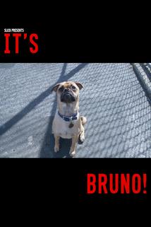 Profilový obrázek - It's Bruno