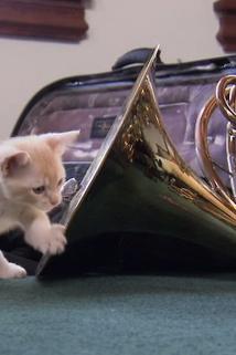 Profilový obrázek - Musical Kittens