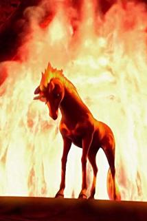 Profilový obrázek - The Fire Unicorn