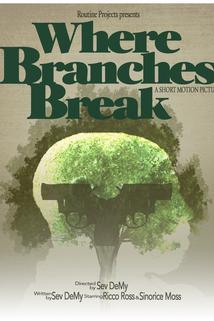 Profilový obrázek - Where Branches Break
