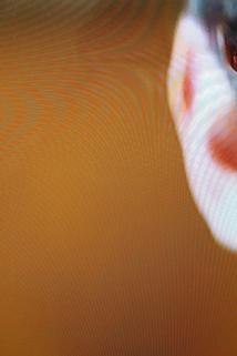 Profilový obrázek - Christoph Niemann: Illustration