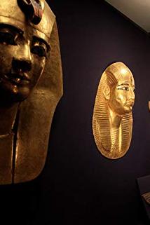 Profilový obrázek - Inside the Egyptian Museum