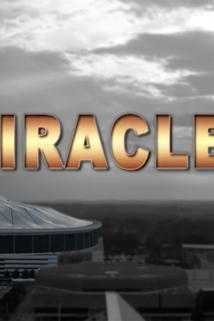 Profilový obrázek - Miracle 3