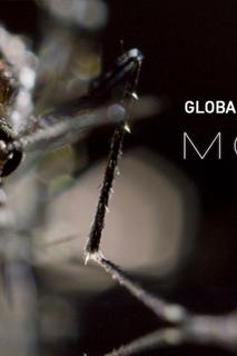 Profilový obrázek - Mosquito