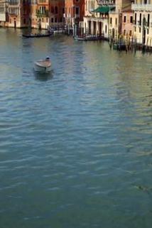 Profilový obrázek - Sinking City - Venice