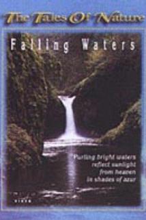 Profilový obrázek - Falling Waters