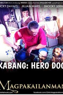 Profilový obrázek - Kabang: Hero Dog