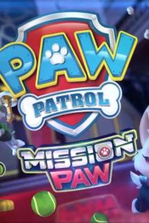 Profilový obrázek - Mission PAW