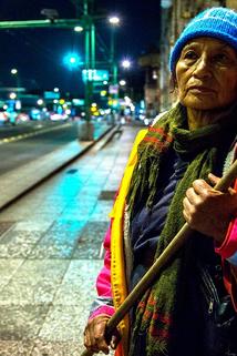 Profilový obrázek - Rosalba Martínez "La Abuela", pásele a lo barrido