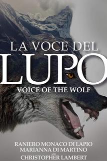 Profilový obrázek - Voice of the Wolf