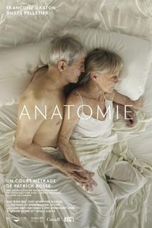 Profilový obrázek - Anatomie