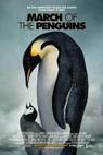 Putování tučňáků 