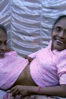 Profilový obrázek - The Short Way Around: China