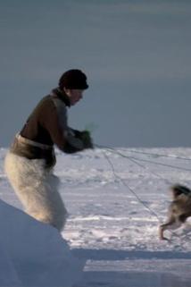 Profilový obrázek - Arctic: Life in the Deep Freeze
