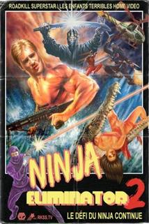 Profilový obrázek - Ninja Eliminator 2: Quest of the Magic Ninja Crystal