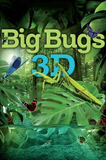 Profilový obrázek - Big Bugs - Kleine Krabbler ganz groß