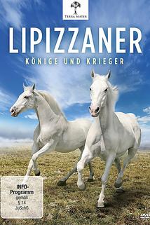 Profilový obrázek - Lipizzaner - Könige und Krieger