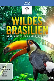 Profilový obrázek - Wildes Brasilien - Der zerbrechliche Wald