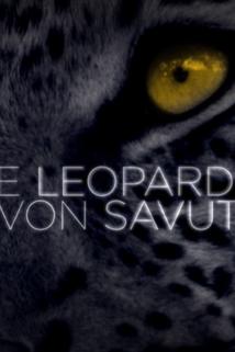 Profilový obrázek - Die Leoparden von Savuti
