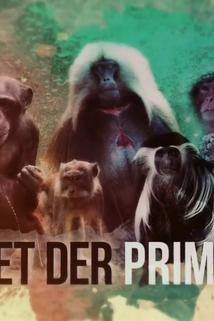 Profilový obrázek - Helden der Tierwelt - Planet der Primaten