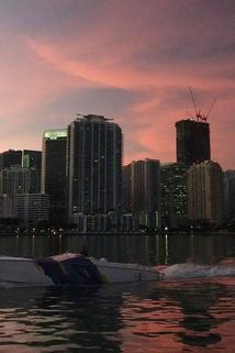 Profilový obrázek - Miami Rogue