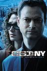Kriminálka New York (2004)