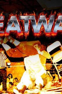 Profilový obrázek - ECW Heat Wave 97