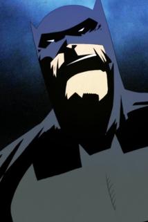 Profilový obrázek - BATMAN IRL
