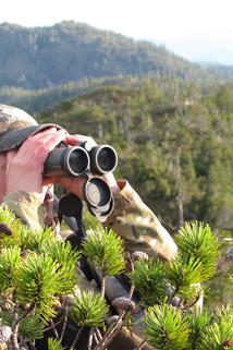 Profilový obrázek - Alaska: Blacktail Deer