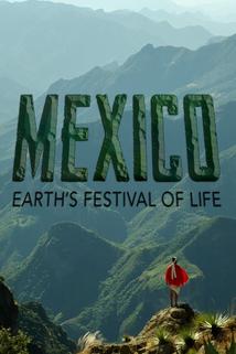 Profilový obrázek - Mexico: Earth's Festival of Life