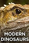 Profilový obrázek - Modern Dinosaurs
