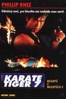 Karate tiger 7: Nejlepší z nejlepších 3 - Není cesty zpět (1995)