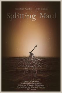 Profilový obrázek - Splitting Maul