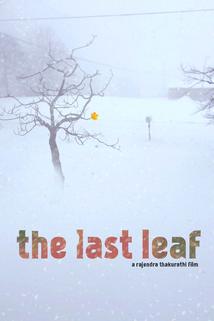 Profilový obrázek - The Last Leaf