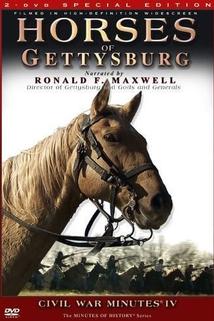 Horses of Gettysburg