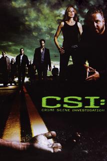 Profilový obrázek - CSI: Kriminálka Las Vegas