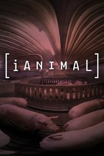 iAnimal: Through the Eyes of a Pig