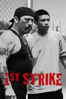 Profilový obrázek - 1st Strike
