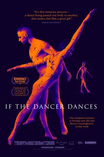 Profilový obrázek - If the Dancer Dances