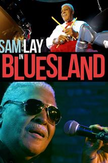 Profilový obrázek - Sam Lay in Bluesland